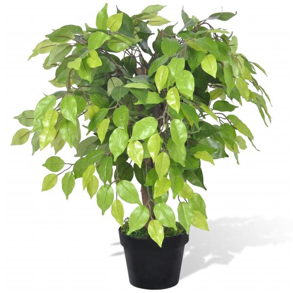 Planta enana artificial de ficus en maceta 60 cm 60 cm